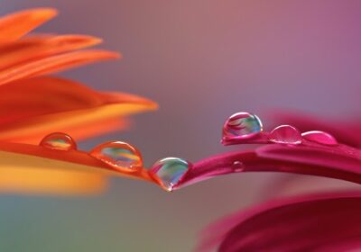 Un Toque Para La Salud