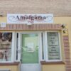 Amalgama holístico