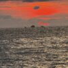 BEACHBAY RELAJANTE ESPECIAL