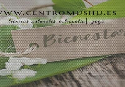 Centro Mushu