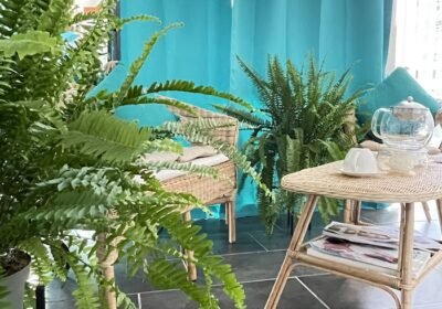 Centro de masajes InFit | maderoterapia | reductor | массаж