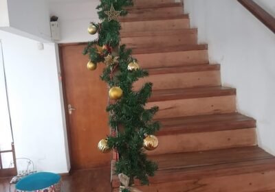 Estetica Alma Bella