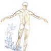 Masajes Equilibrantes