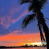 Miami Massage Therapy