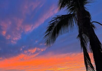 Miami Massage Therapy