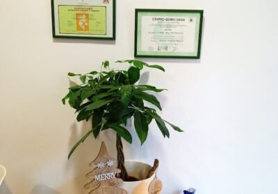 Olga Natura Centro de Quiromasaje y Naturopatia