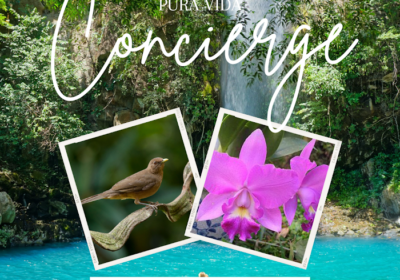 Pura Vida Concierge Services