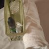 SPA OASIS VIP