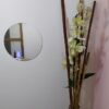SPA Yaneth Arzuza