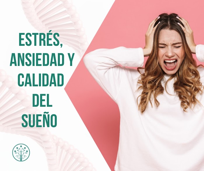 Imagen del Slider
