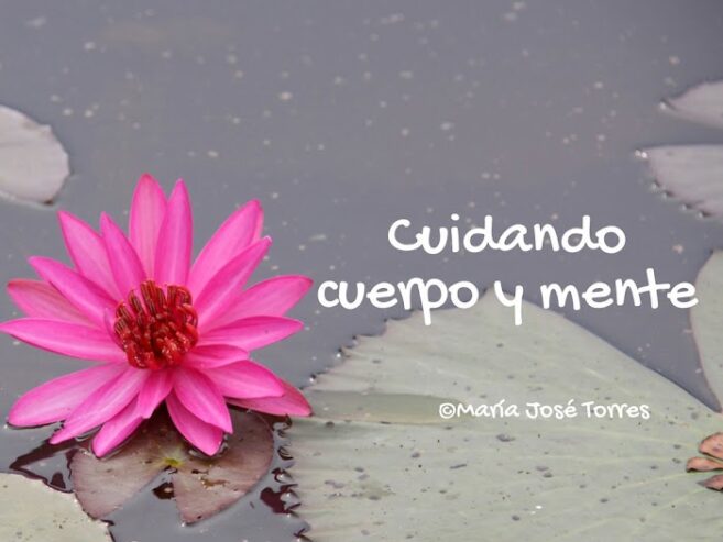 María José Torres Relajantes Especiales Ayurveda en el Espacio de Yoga