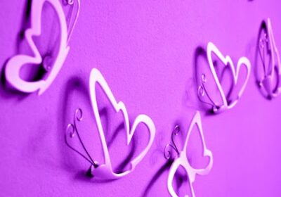 ittara Centre de Teràpies Naturals