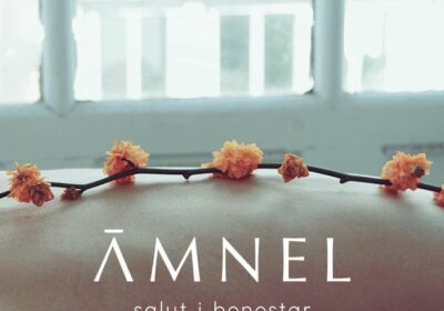 AMNEL, Servicios a domicilio. Masaje Lomi Lomi, Masaje californiano, Quiromasaje,