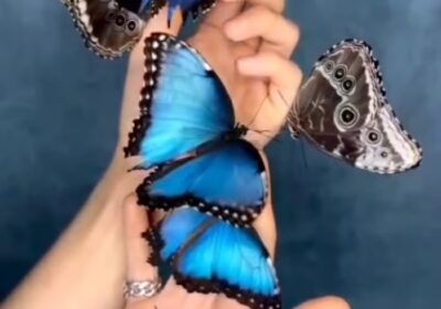 Quiromasaje María Terrassa