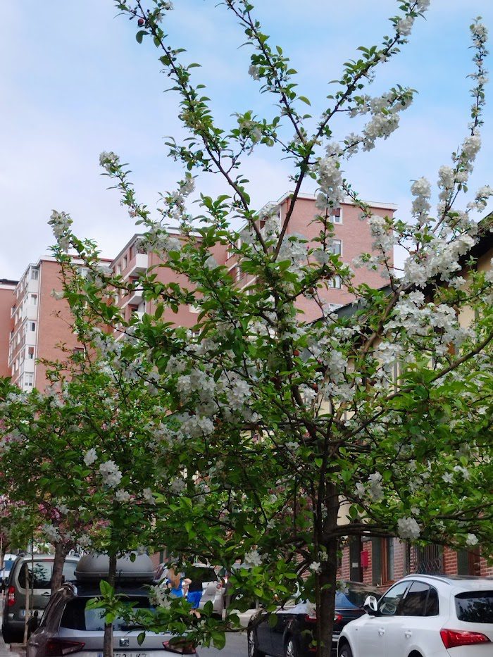 Masajes en Begoña (Bilbao)