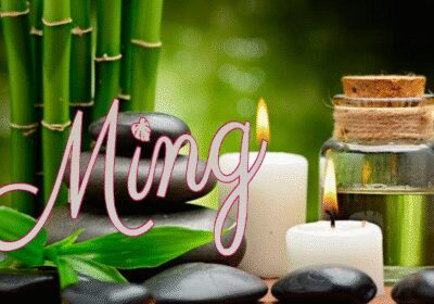 Ming Saló de Bellesa