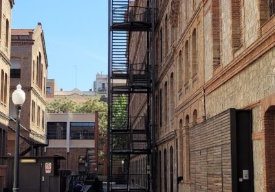 Institut de Salut Holística Rosselló