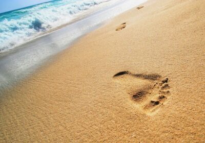 Ser Natural – Terapias naturales de Medicina Alternativa