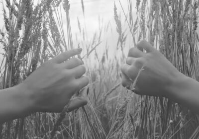 Sonia Ruano – Centro de Masajes y Estética