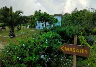 David Casado Massages at Home | Masajes a domicilio