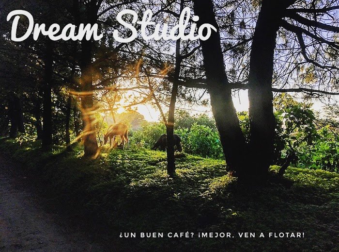 Imagen del Slider