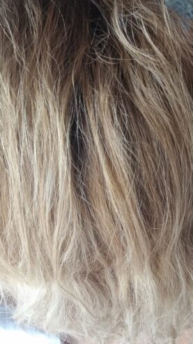 Peluquería Libra
