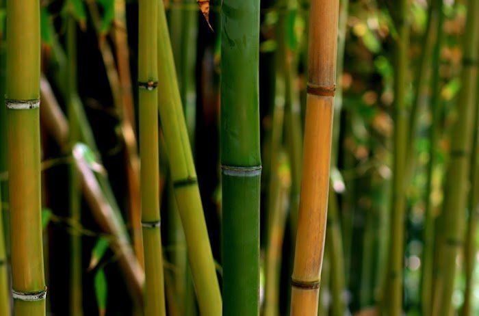Masajes en Valencia (Valencia)