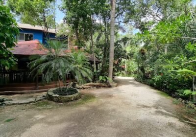 Temazcal Cancún