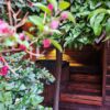 Alma Spa & Salón