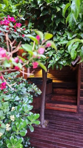 Alma Spa & Salón