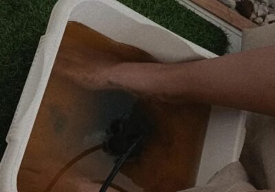 Carolinacrespospa