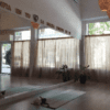 Estudio Viva Yoga