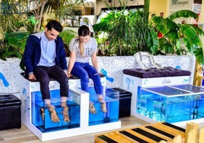 Fish Spa