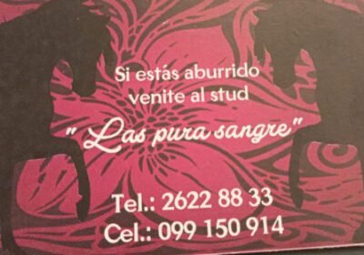 LAS PURA SANGRE CASA DE MASAJE