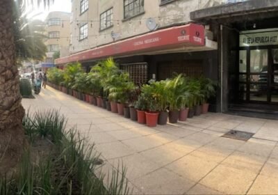 Massage CDMX Ganesha