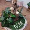 NauMara SPA