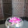 Nut Masajes y Terapeuta Floral