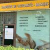 Osteopatía, Relajantes especiales, Acupuntura, Kinesiología.