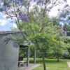 Osteopatía San Rafael