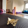 Rosina Lestido pilates & actividades relajantes especiales