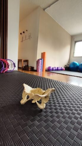 Rosina Lestido pilates & actividades relajantes especiales
