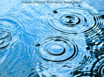 Rain Sounds Atmosphere for Meditation, Relaxation, Rubdown, Yoga, Tai Chi, Reiki, Sleep Song, Shrimp one Sleep and Stress-free Ambient Soundscapes