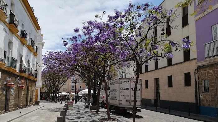 El Mentidero