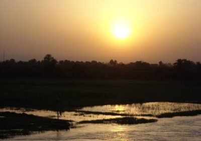 Olga Blanco Terapias Alternativas
