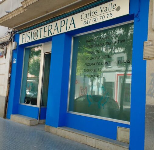 Fisioterapia Carlos Valle
