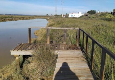 Paraje Natural Marismas del Odiel