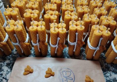 Terapias de Relajación y Sanación