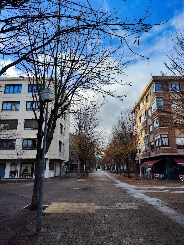 Masajistas en San Martín (Vitoria)