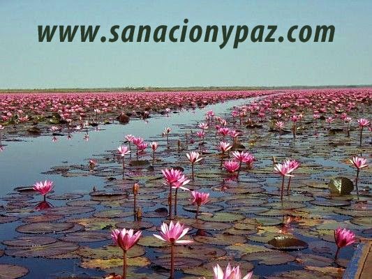 Imagen del Slider