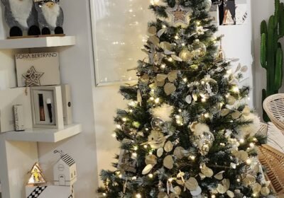 Centro De Estética Géminis – Centro de belleza Integral y